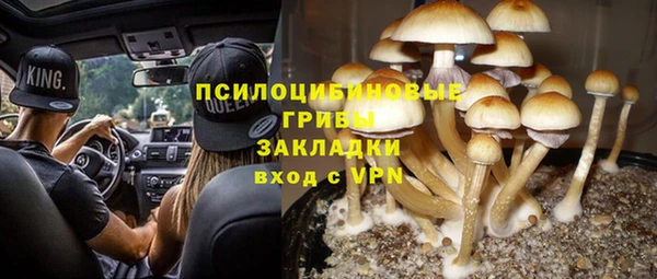 дурь Верхнеуральск