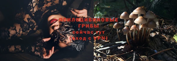 соль курить ск Верея