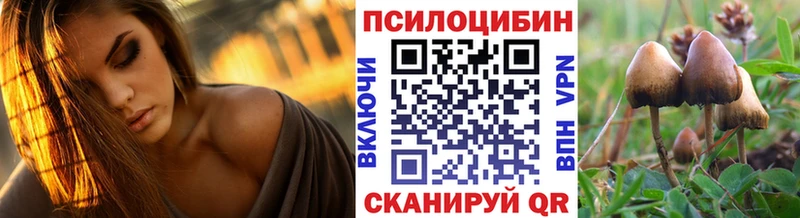 Купить закладки  Туринск  Галлюциногенные грибы MAGIC MUSHROOMS 
